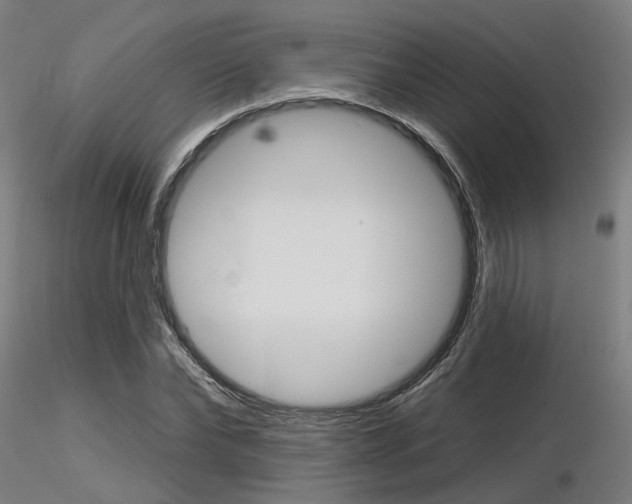 X0000116850878200912220939