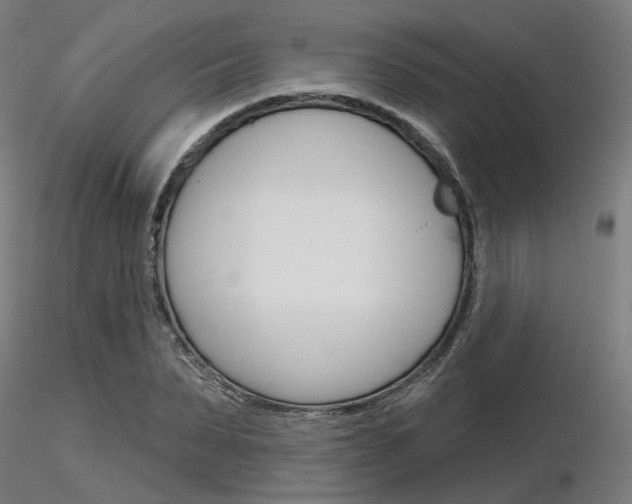 X0000116850879200912220939