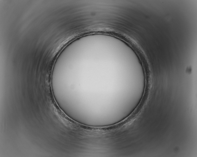 X0000116850881200912220939