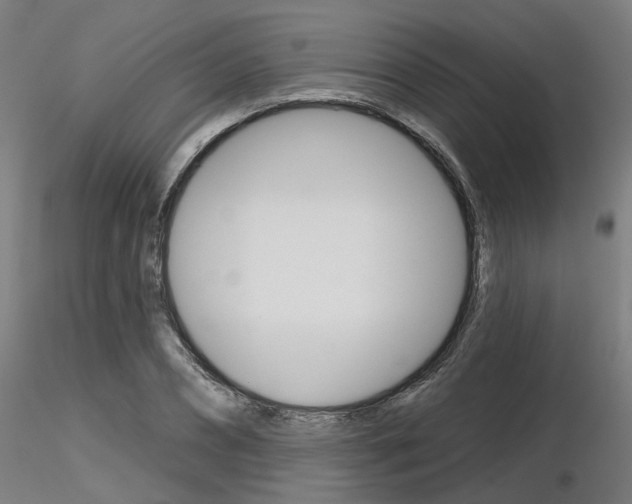 X0000116850882200912220939