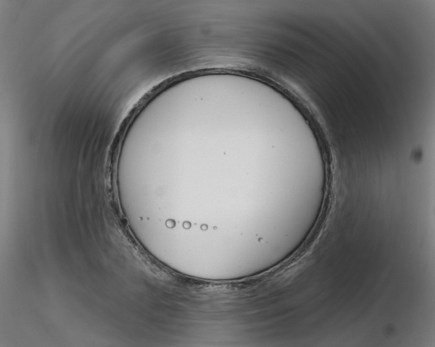 X0000116850883200912220939