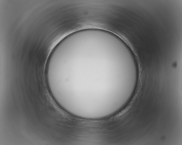 X0000116850885200912220939