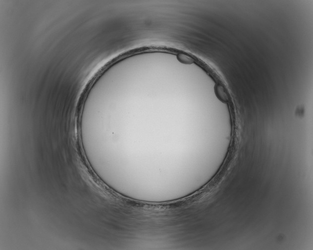 X0000116850887200912220939