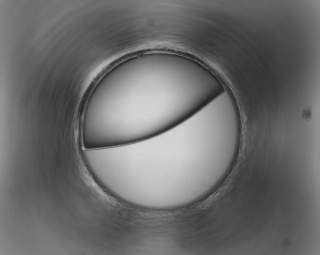 X0000116850888200912220939