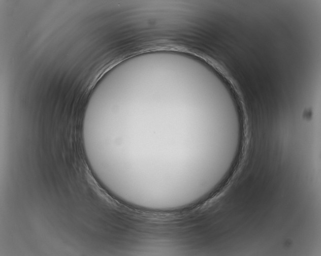 X0000116850889200912220939
