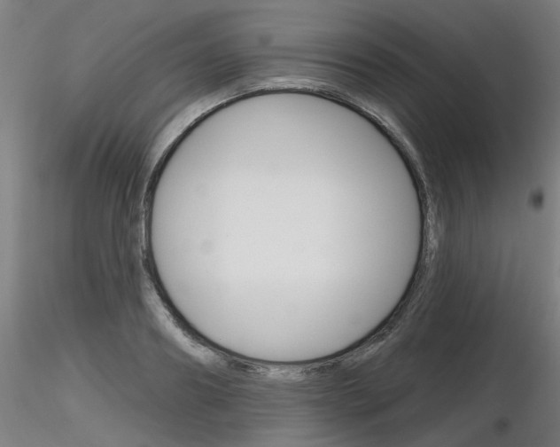 X0000116850890200912220939