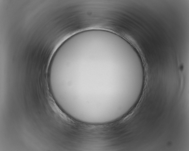 X0000116850892200912220939