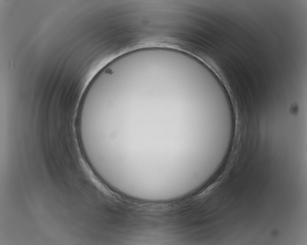 X0000116850893200912220939