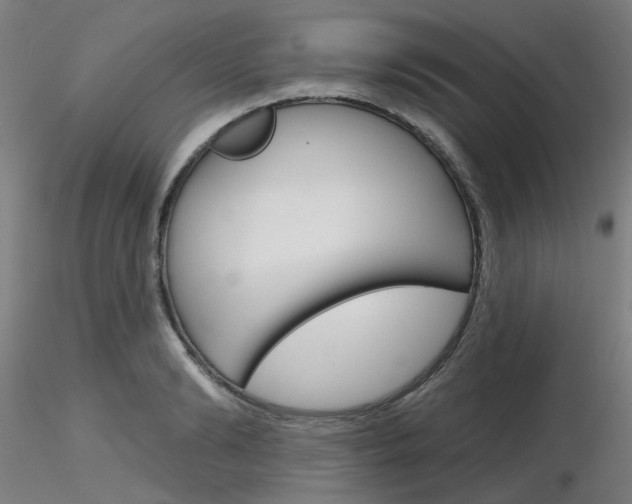 X0000116850894200912220939