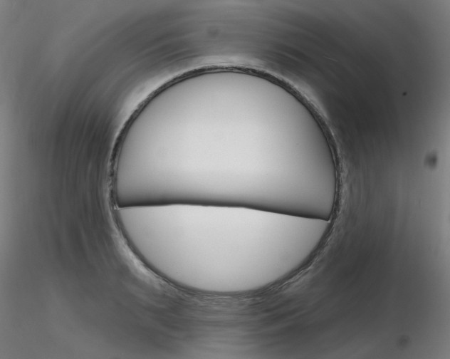 X0000116850895200912220939