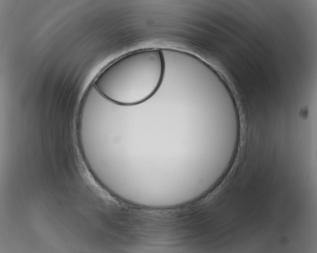 X0000116850896200912220939