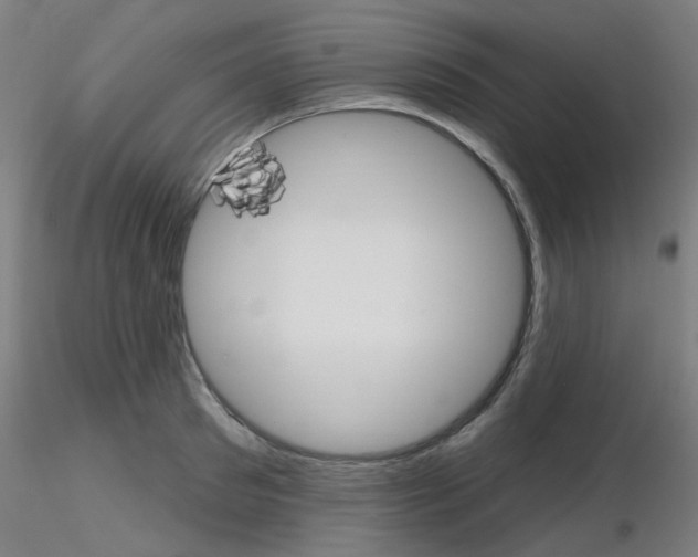 X0000116850897200912220939
