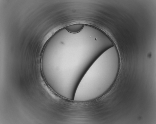 X0000116850898200912220939