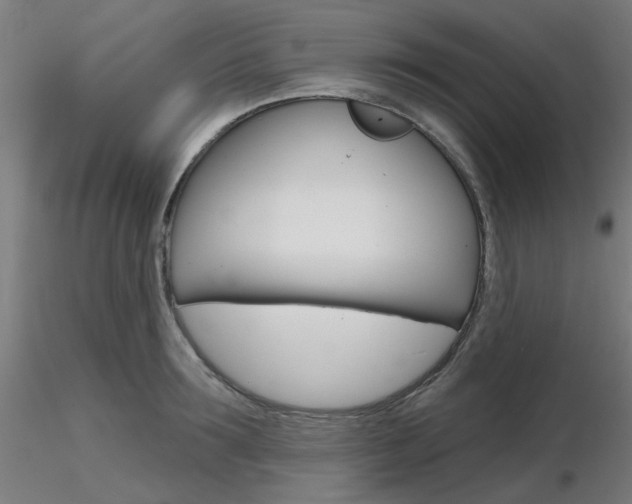 X0000116850899200912220939