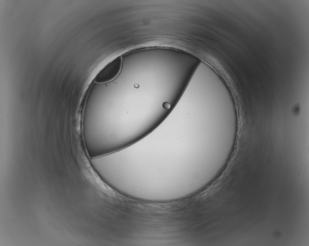 X0000116850900200912220939
