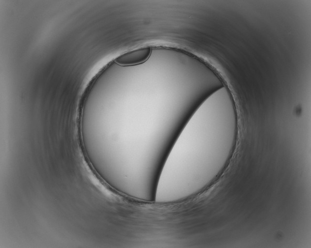 X0000116850902200912220939