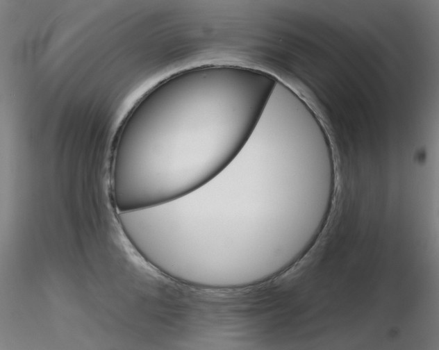 X0000116850904200912220939