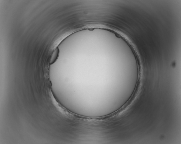 X0000116850905200912220939