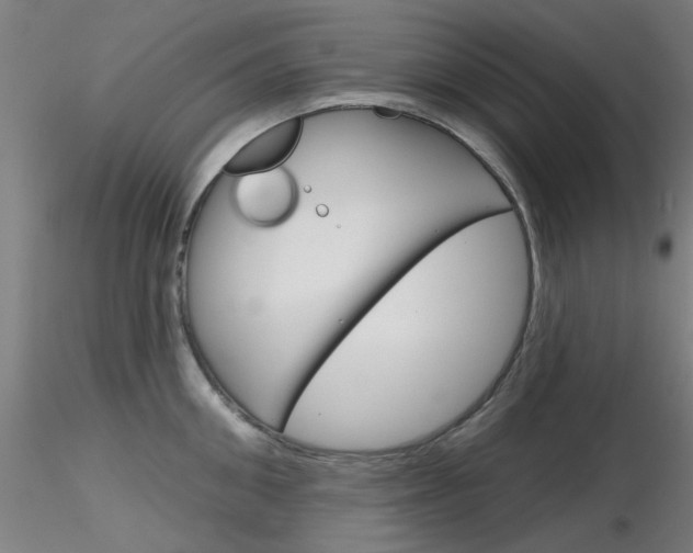 X0000116850906200912220939
