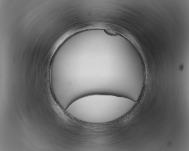 X0000116850907200912220939