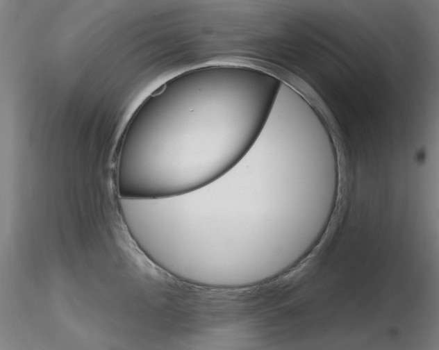 X0000116850908200912220939