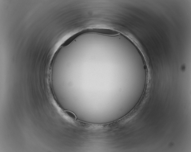 X0000116850909200912220939