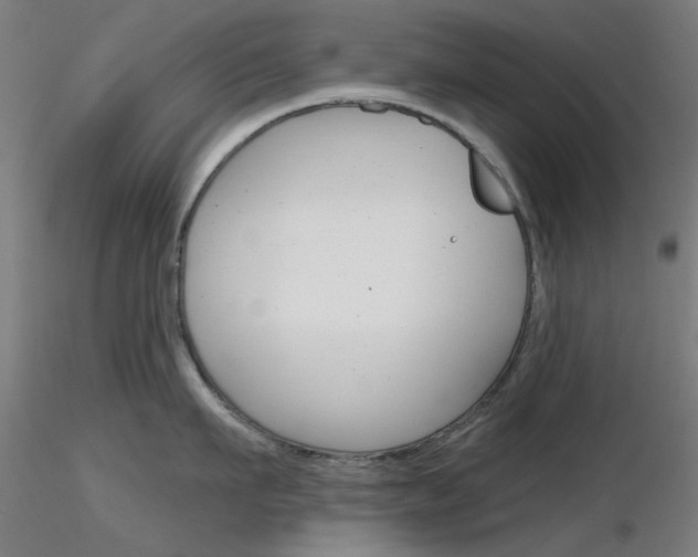 X0000116850911200912220939