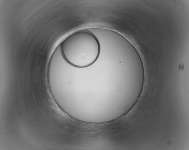 X0000116850912200912220939