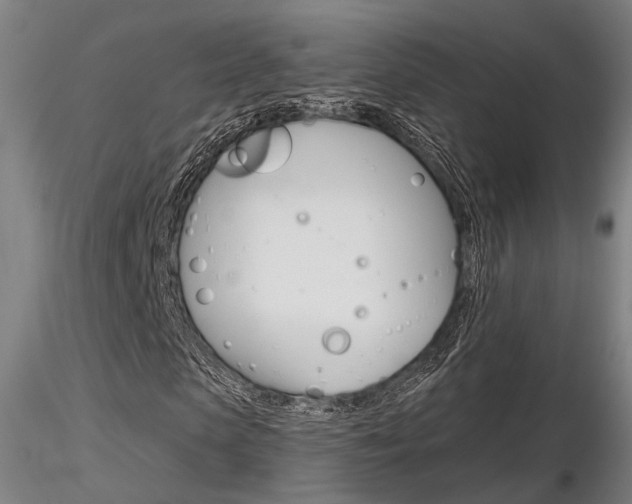 X0000116850913200912220938