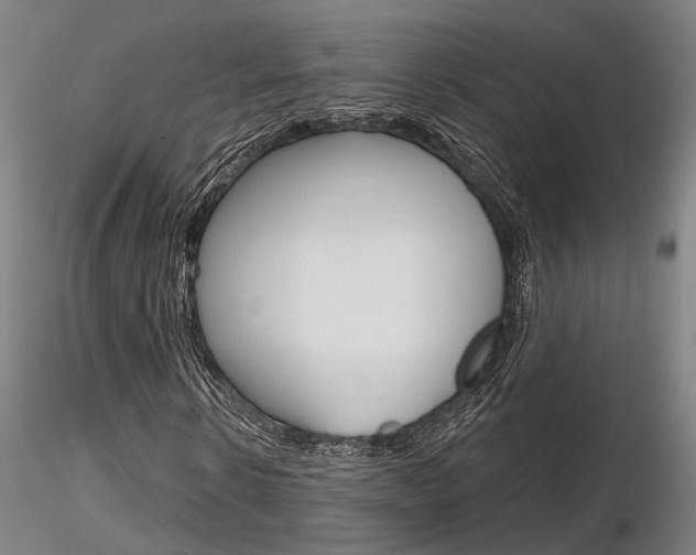 X0000116850914200912220938