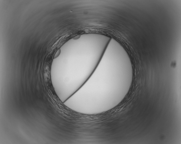 X0000116850915200912220938