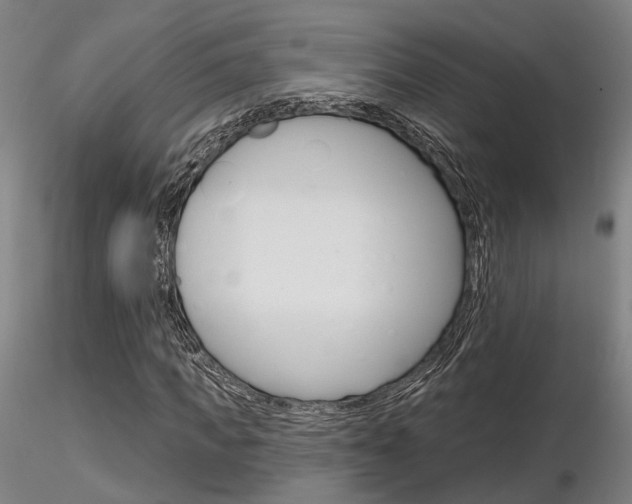 X0000116850917200912220938