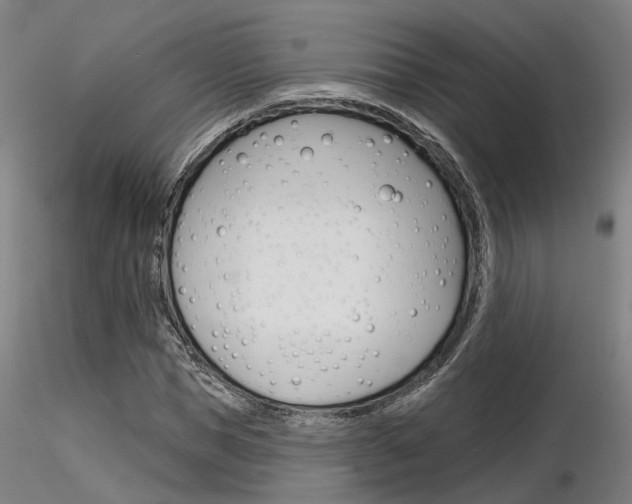 X0000116850921200912220938