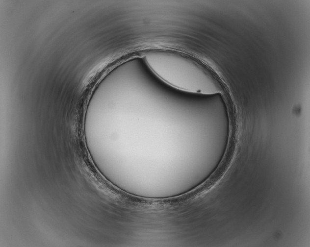 X0000116850922200912220938