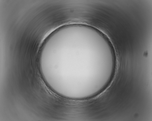 X0000116850925200912220938