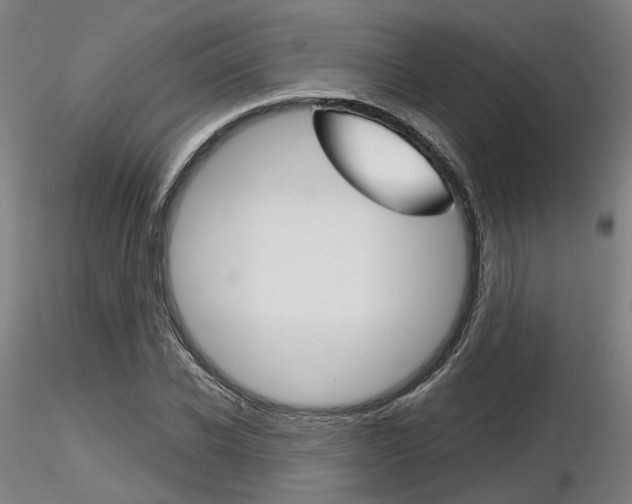 X0000116850926200912220938