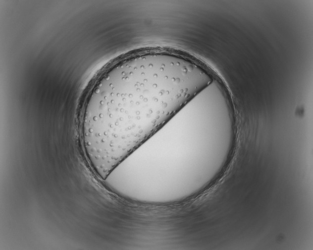 X0000116850927200912220938