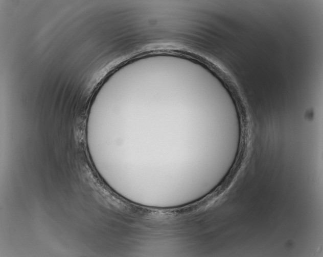X0000116850929200912220939