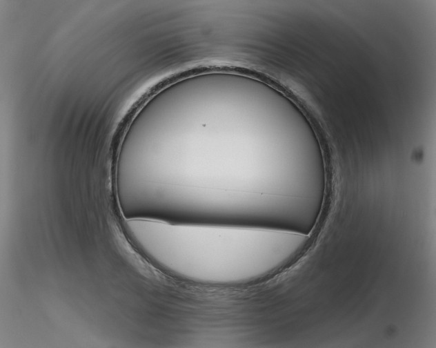 X0000116850934200912220939