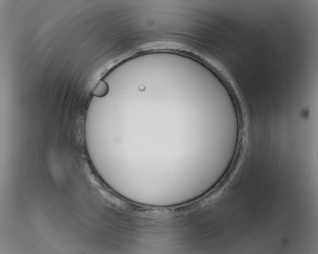 X0000116850937200912220939