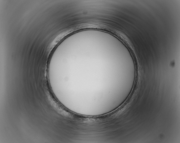 X0000116850938200912220939