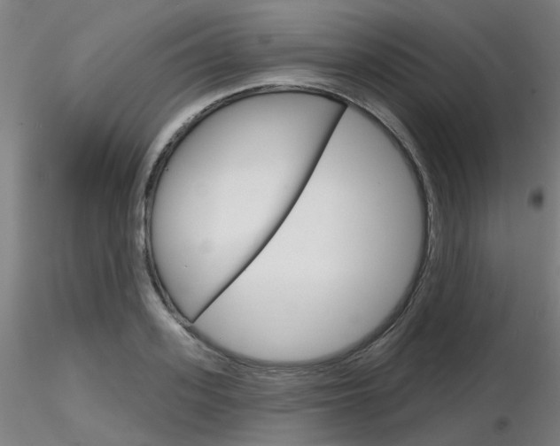 X0000116850939200912220939