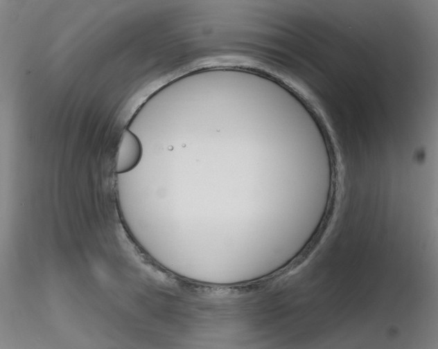 X0000116850945200912220939
