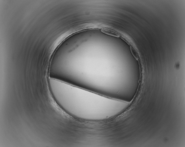 X0000116850946200912220939