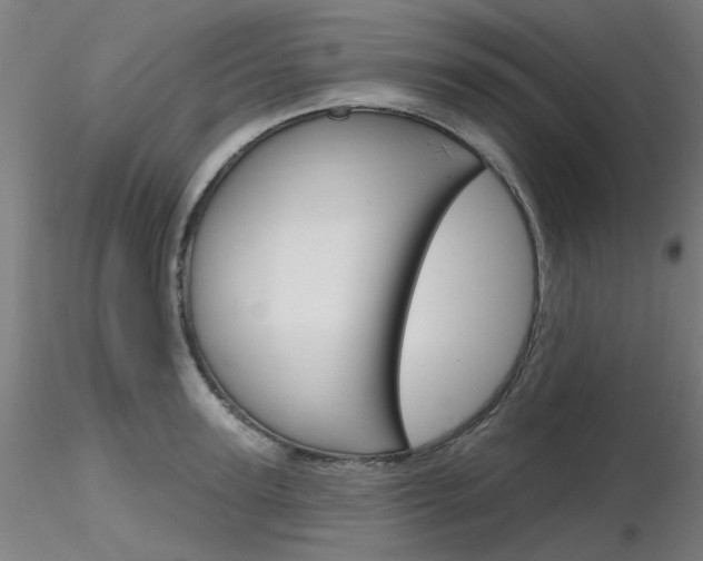 X0000116850947200912220939