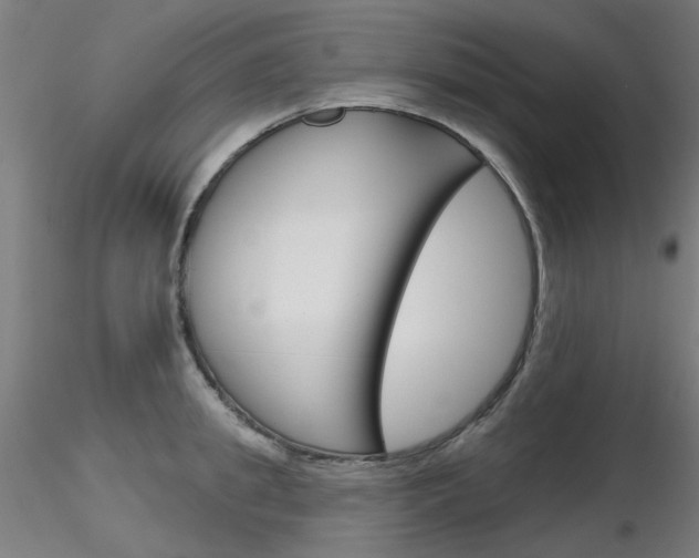 X0000116850949200912220939