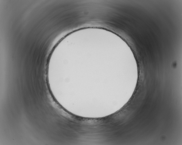 X0000116850950200912220939