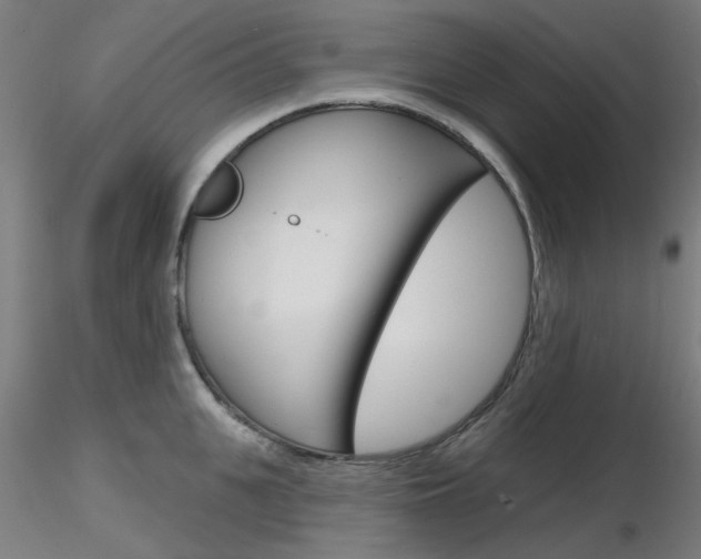 X0000116850951200912220939