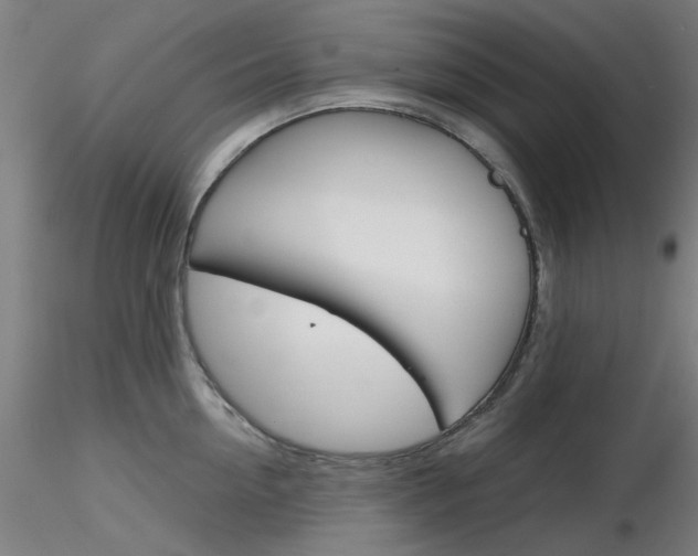 X0000116850954200912220939