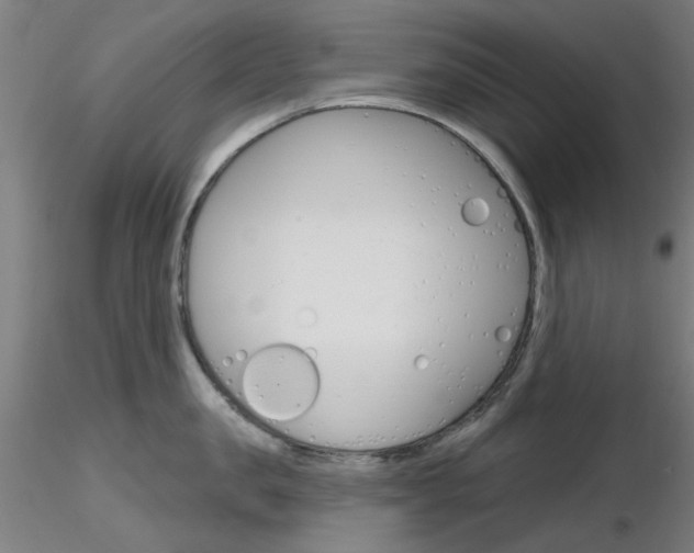X0000116850957200912220939